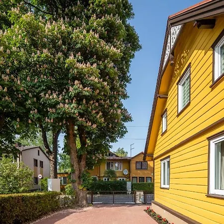 Elegancija, Vasario 16-osios Gatve 4