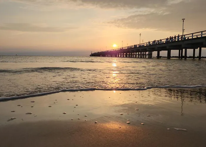 公寓 Elegancija, Vasario 16-osios Gatve 4 帕兰加